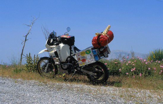 Überall bunte Blumen