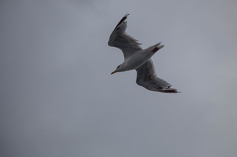 Noch eine ganze Weile ...