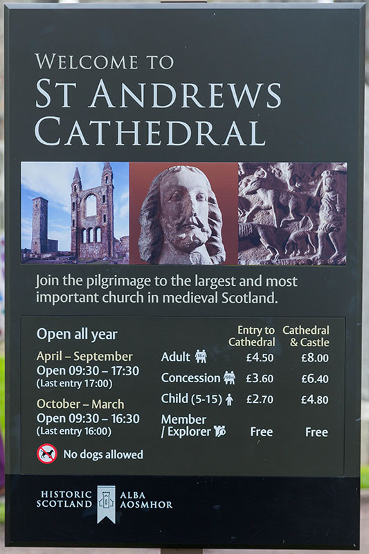 An der Ruine von St. Andrews