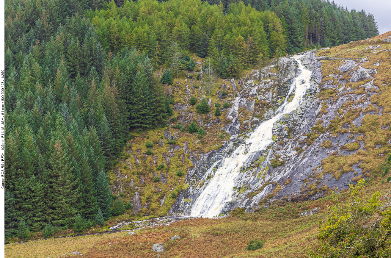 Der Glenmacnass-Wasserfall (irisch: Gleann Log an Easa, was so viel bedeutet wie „Die Schlucht der Mulde des Wasserfalls“)[1] ist ein 80 Meter hoher Wasserfall am Ende des Glenmacnass-Tals in den Wicklow Mountains in Irland. Der Glenmacnass-Wasserfall ist ein beliebtes Touristenziel und ein landschaftlich reizvoller Aussichtspunkt in den Wicklow Mountains. Der Wasserfall wird im Westen von Tonelagee und im Osten von Scarr Mountain begrenzt. Das gesamte Glenmacnass-Tal ist über die Straße R115 (auch Military Road genannt) zu erreichen, die das Sally Gap im Norden mit dem Dorf Laragh im Süden verbindet.