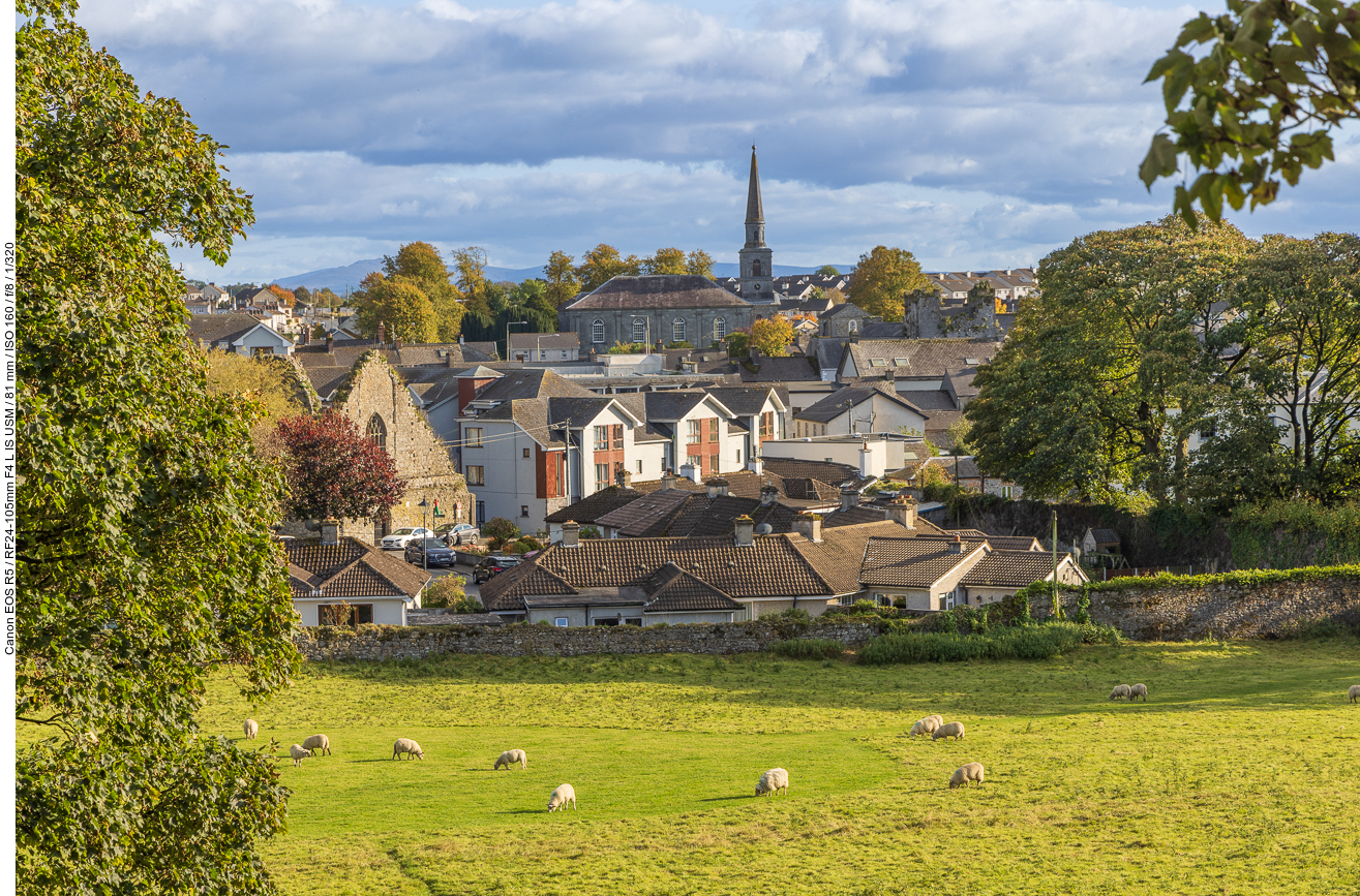 Blick von der Abbey zum Ort Cashel