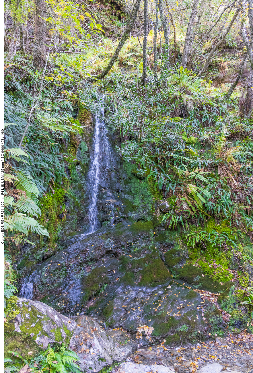 Mini-Wasserfall