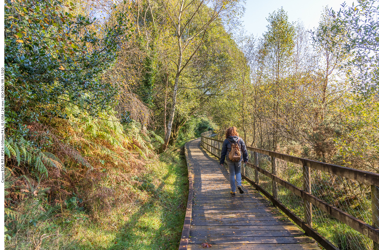 Auf einem Holzbohlenweg laufen wir wieder zum Parkplatz zurück