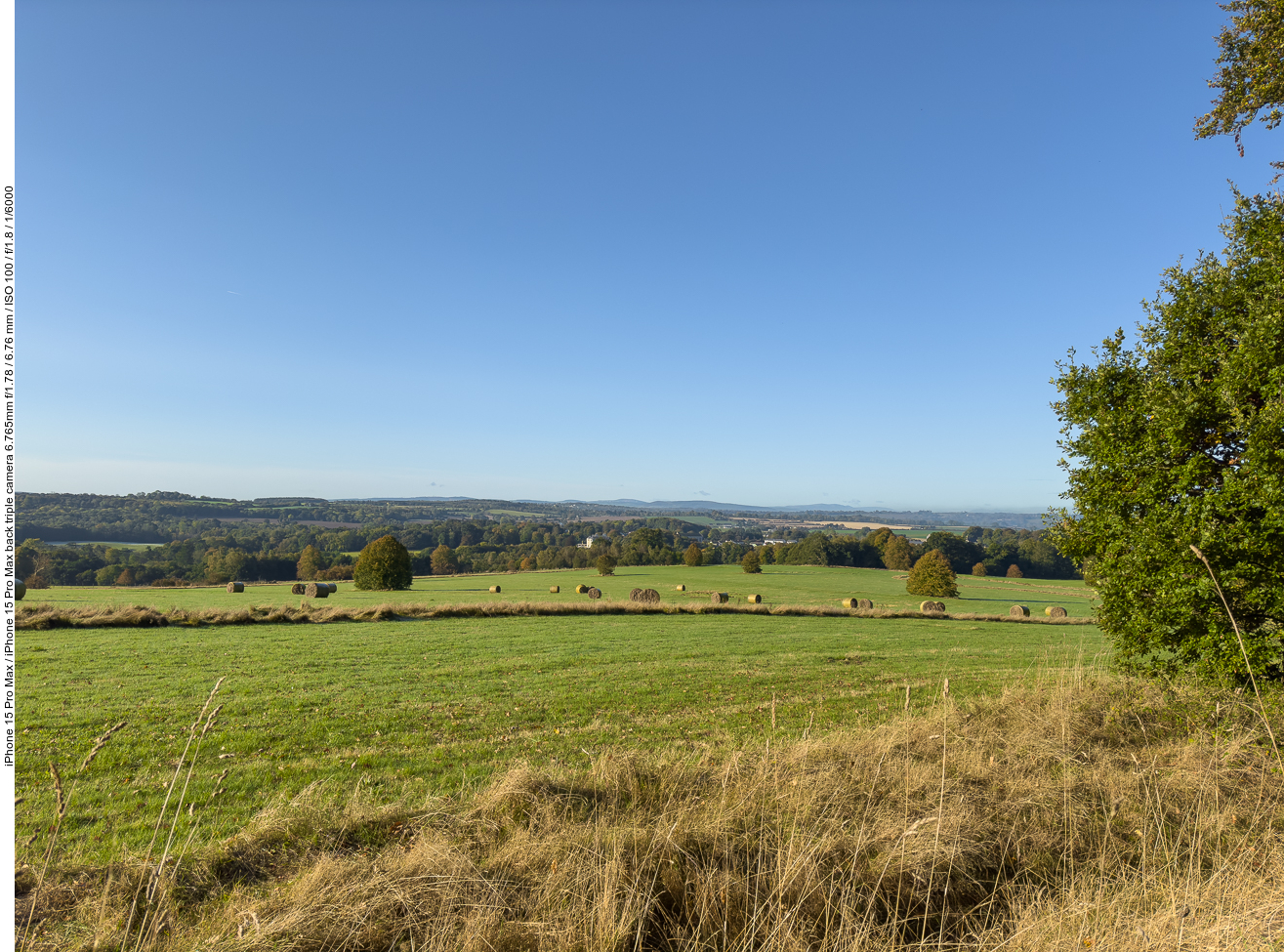 Abgeerntetes Feld