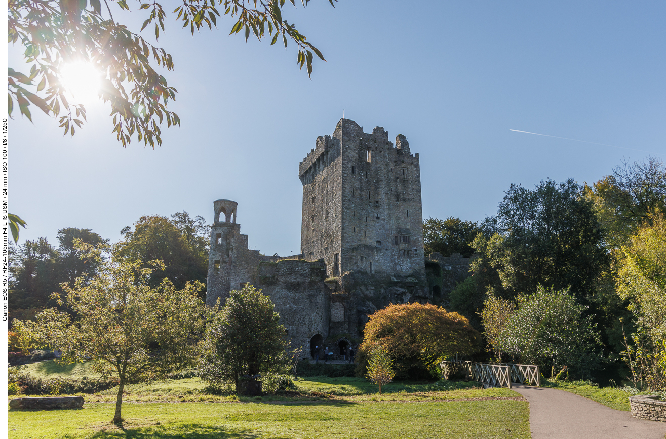 Blarney Castle (irisch Caisleán na Blarnan) befindet sich in dem irischen Dorf Blarney (An Bhlarna) sieben Kilometer nordwestlich der Stadt Cork.