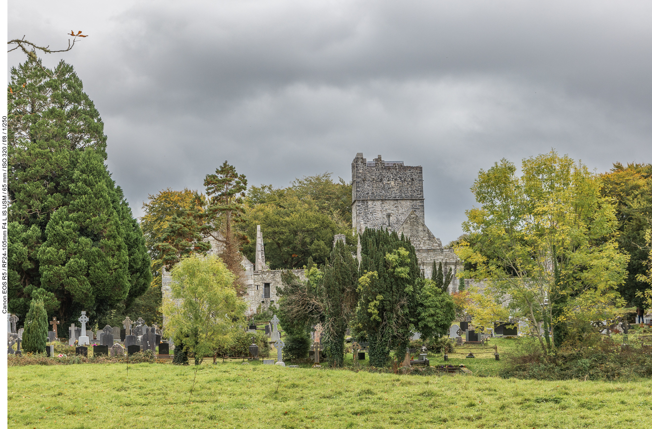Muckross Abbey (auch Muckross Friary, irisch Mainistir Locha Léin) ist eine bedeutende kirchliche Anlage im Killarney-Nationalpark im Südwesten von Irland. Die Abtei liegt etwa 5 km von Killarney und 1,2 km von Muckross House entfernt am Lough Leane in einem parkähnlichen Gelände inmitten eines Friedhofs.