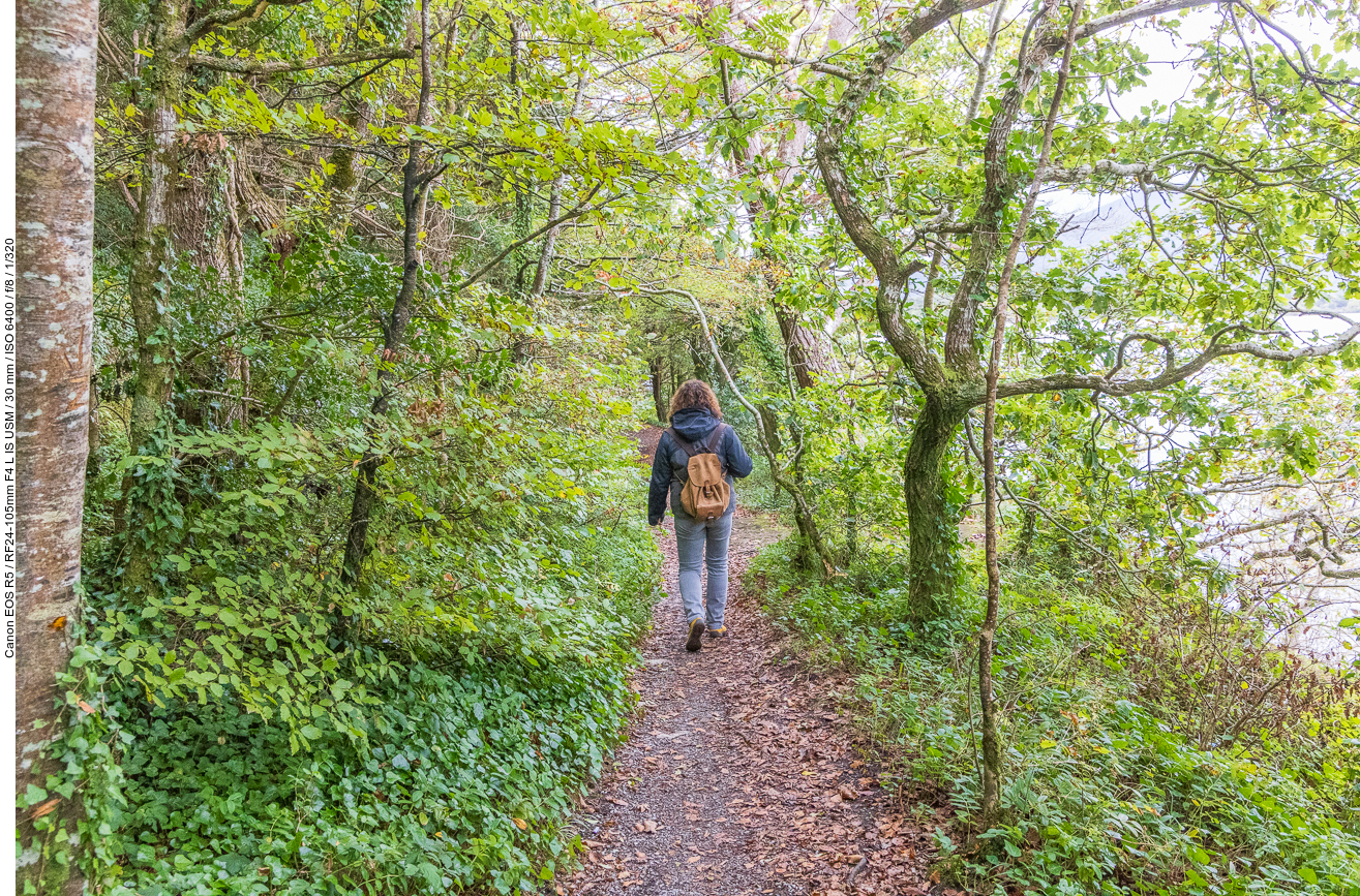 Wanderweg an der Küste