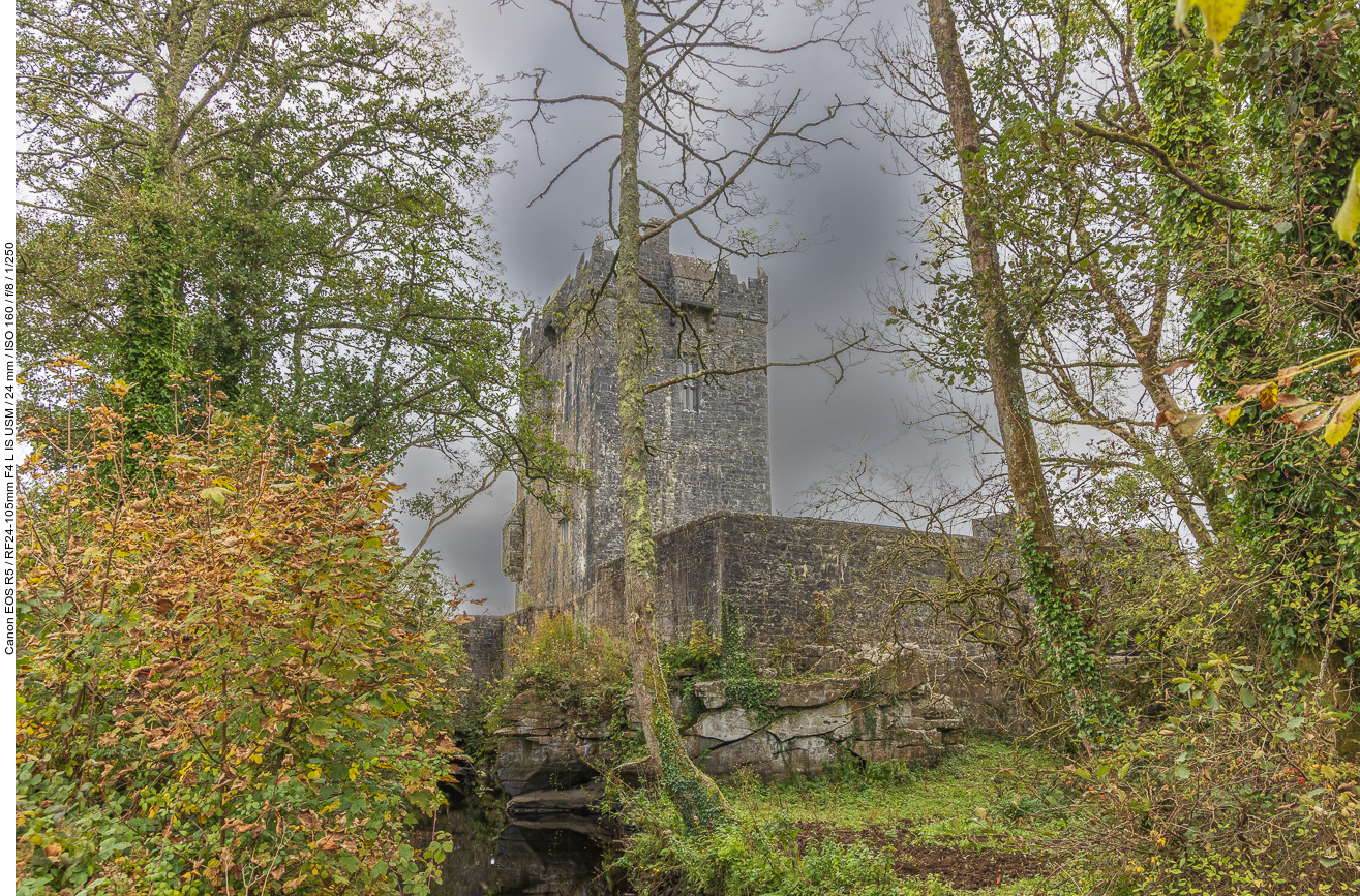 Aughanure Castle (irisch Caisleán Achadh na nIúr) liegt etwa drei Kilometer von Oughterard entfernt nahe dem Ufer des Lough Corrib (See) im County Galway in der Provinz Connacht in Irland. Der aus dem Irischen stammende Name heißt auf dt.: Eibenfeld. Es ist ein irisches National Monument.