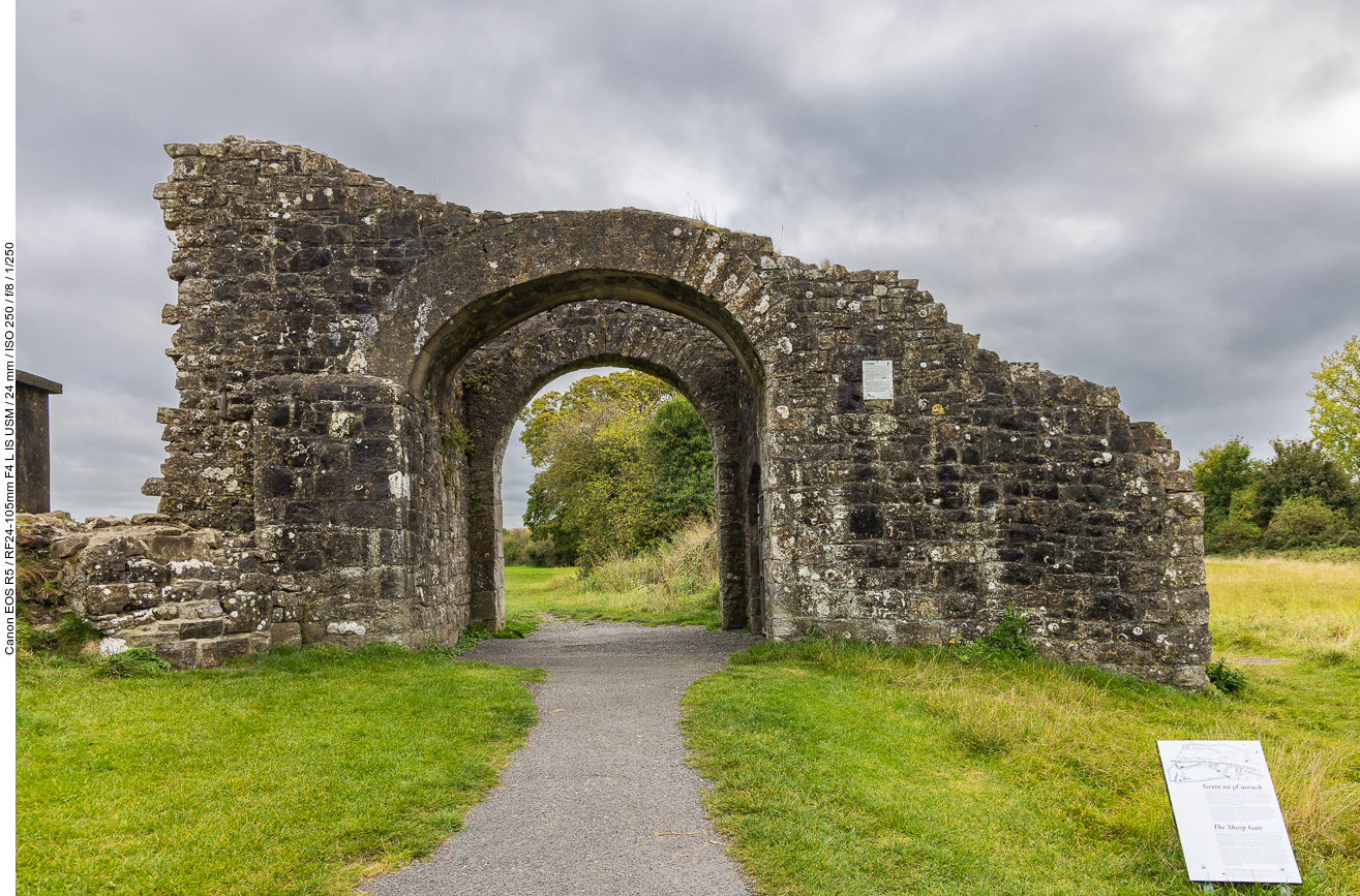 Das Schafstor ist das einzige der fünf erhaltenen Tore, die einst den Zugang zu Trim ermöglichten. Die Stadtmauer und ihre Tore wurden im 13. oder 14. Der Name Sheep Gate (Schafstor) könnte daher rühren, dass hier eine Abgabe für Schafe erhoben wurde, die zum Verkauf auf dem Markt gebracht wurden: 1290 betrug die Murage- und Pavage-Steuer einen Penny pro zehn Schafe, 1308 wurde sie auf einen Farthing gesenkt. Der Name könnte sich auch von der archaischen Bedeutung von cheap ableiten, was „Markt“ bedeutet (vgl. Cheapside).
