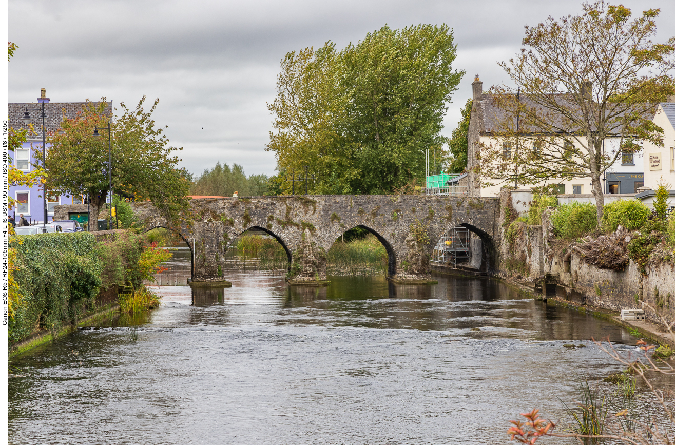 Die Brücke über den Fluss Boyne in Trim ist seit 1393 in Betrieb und wird auch heute noch genutzt. Sie ist Irlands älteste in Betrieb stehende Brücke