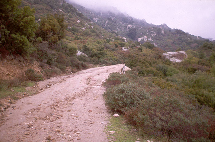 Regen und Offroad ...