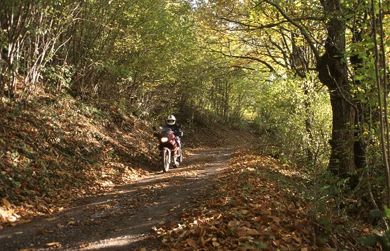 Waldweg bei Vestone
