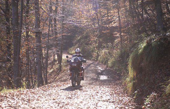 Die Schotterstrecke mndet in einen Waldweg