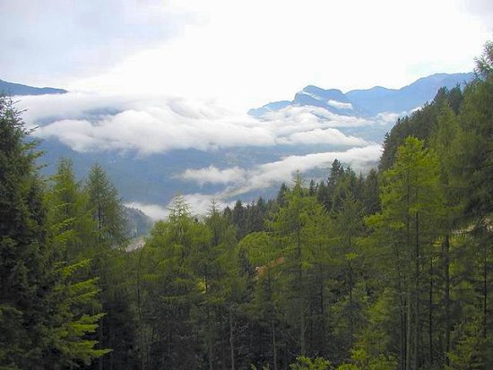 Nebel steigt aus dem Tal auf
