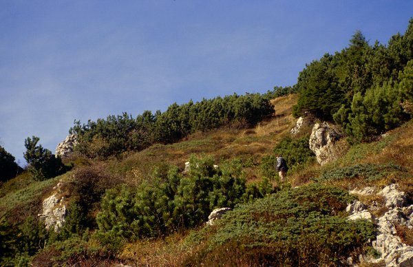 Wanderung zum Tremalzo hinauf