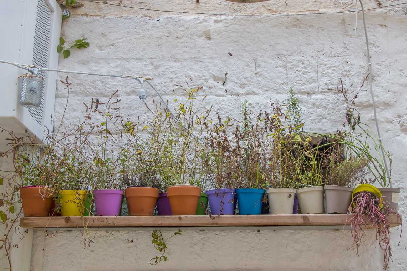 Blumenschmuck