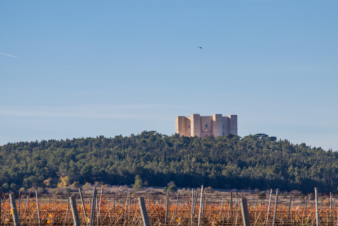 Das Castel del Monte 