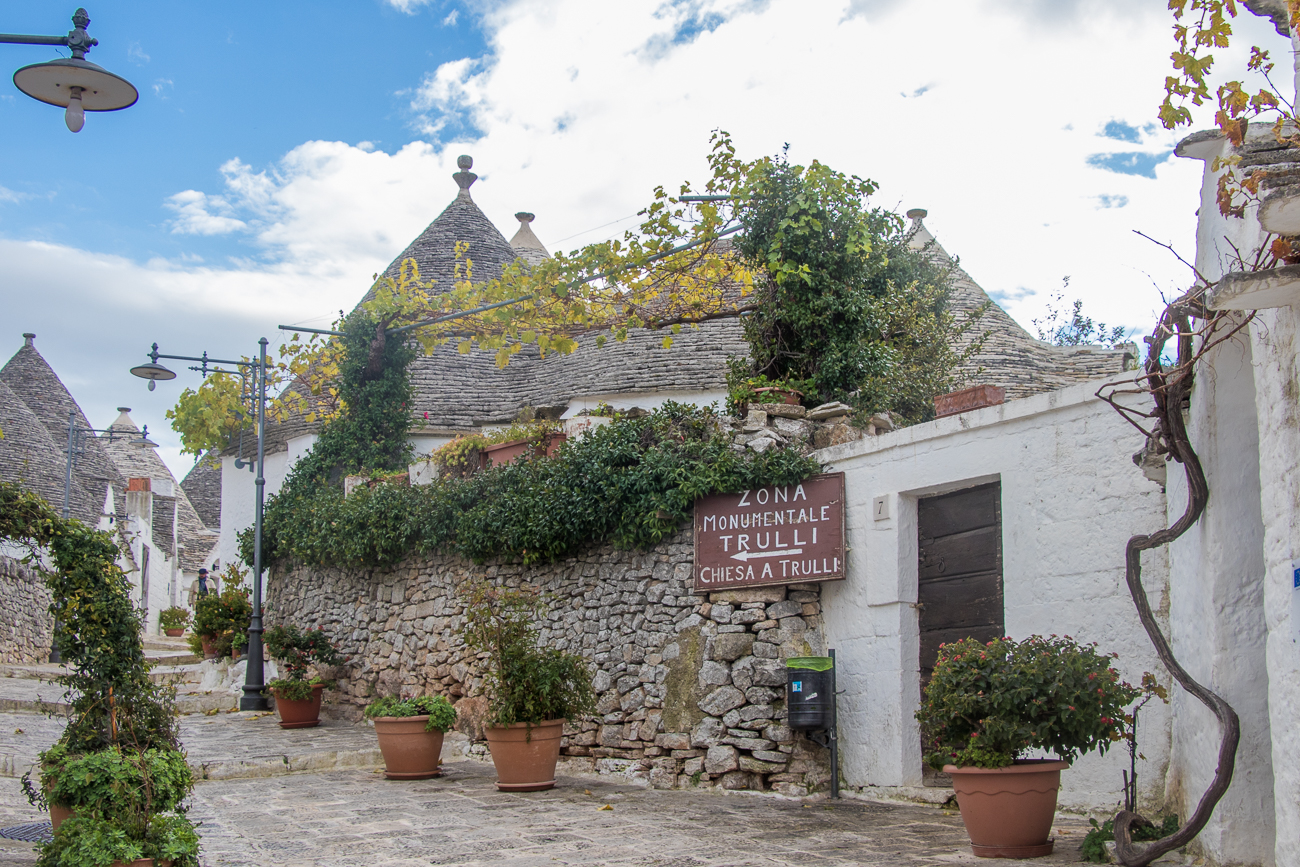 Weinreben ranken sich über der Mauer 