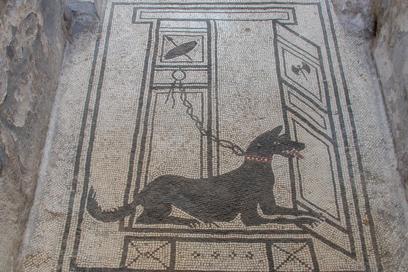 Schöner Mosaikboden 