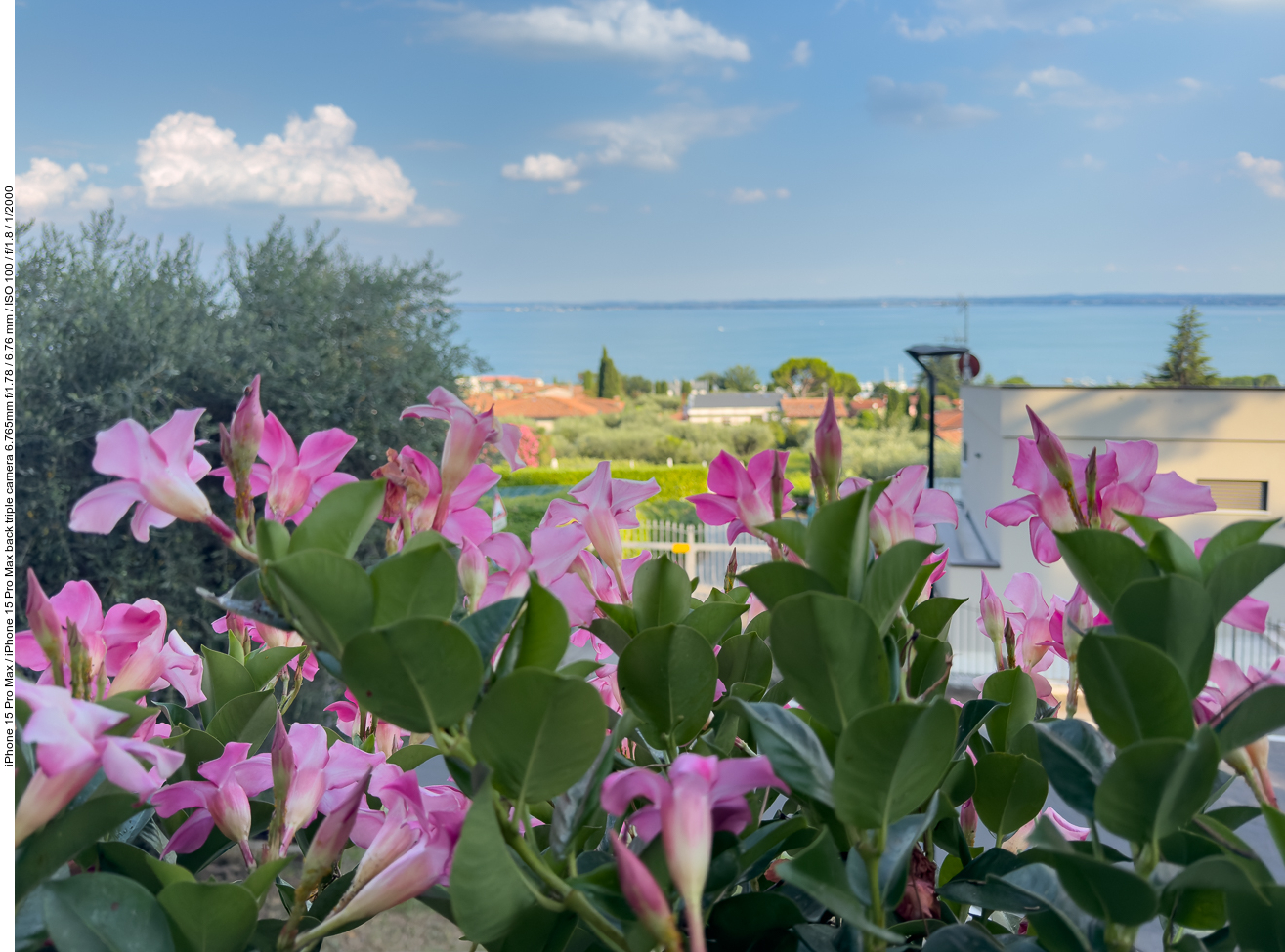 Blick vom Castello zum See