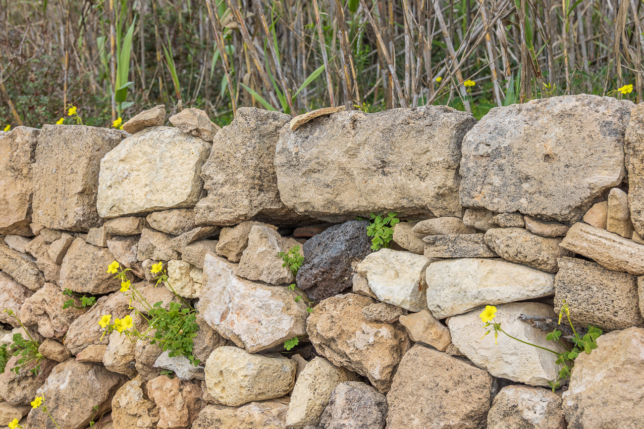 Trockensteinmauer mit Lavagestein ergänzt