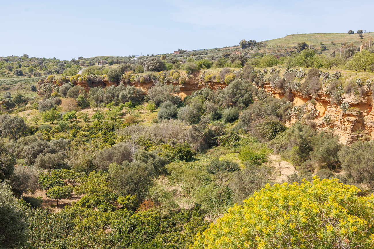 Giardino della Kolymbetra