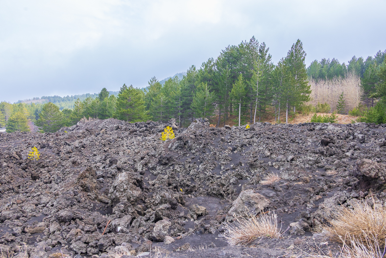 Erkaltete Lava