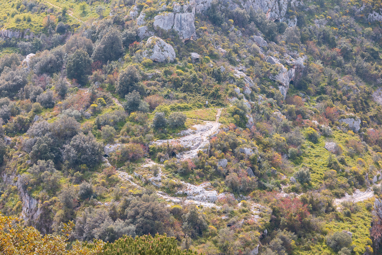 Auf dem Weg dort drüben werden wir gleich wandern