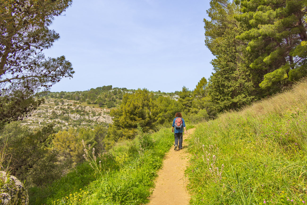 Wanderweg am Rande der Schlucht
