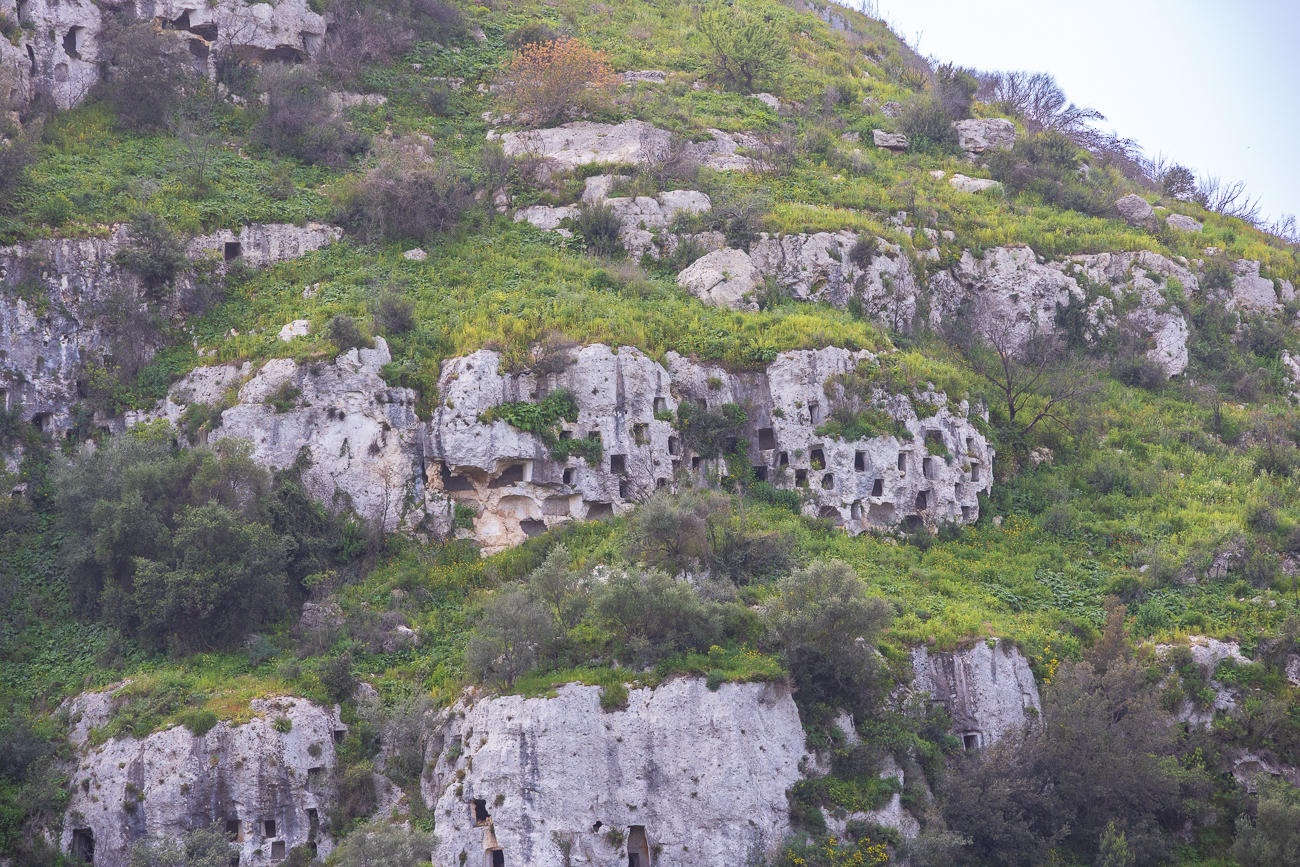 ... und säumen die Wanderwege