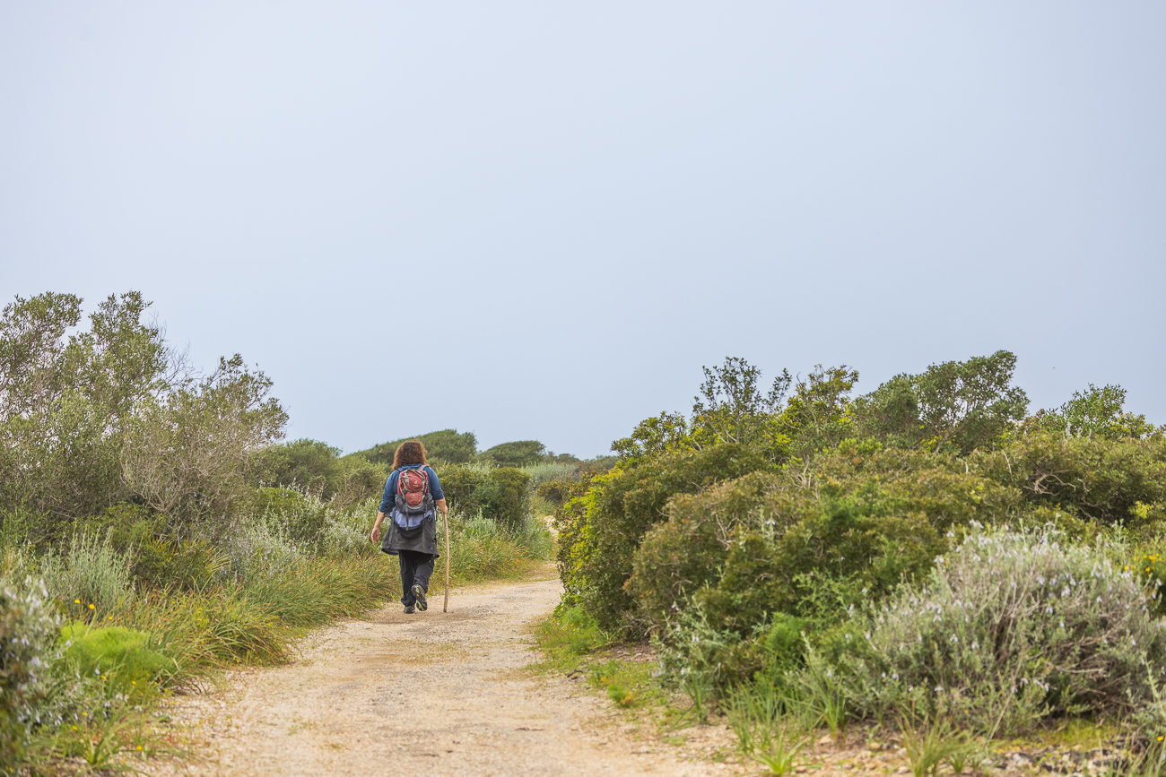Wanderweg an der Küste