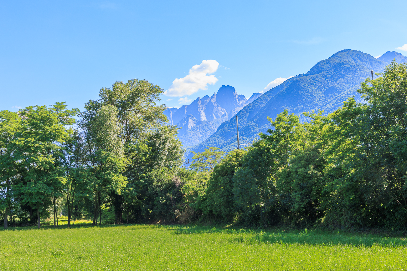 Trotzdem wandern wir durch das Naturschutzgebiet Pian di Spagna