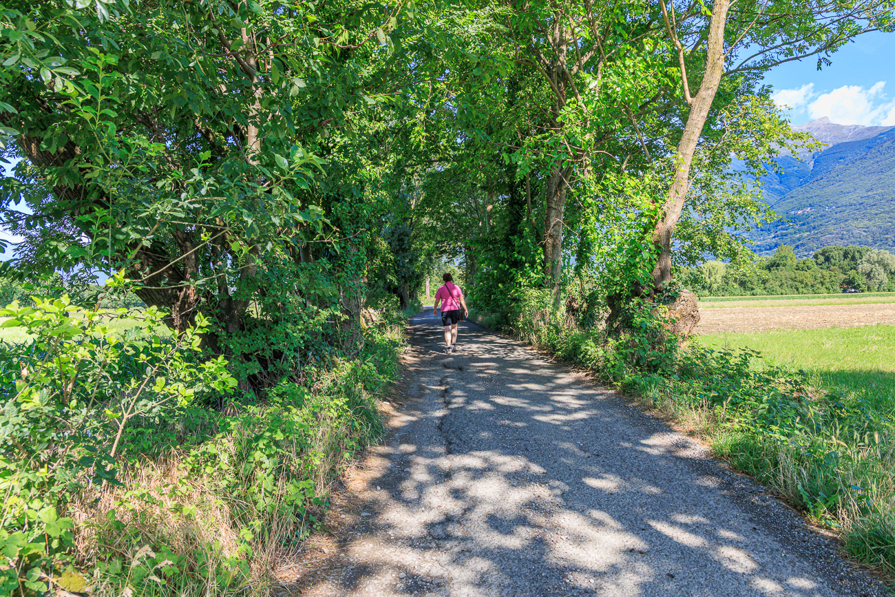 Zur Abwechslung etwas Schatten auf dem Weg