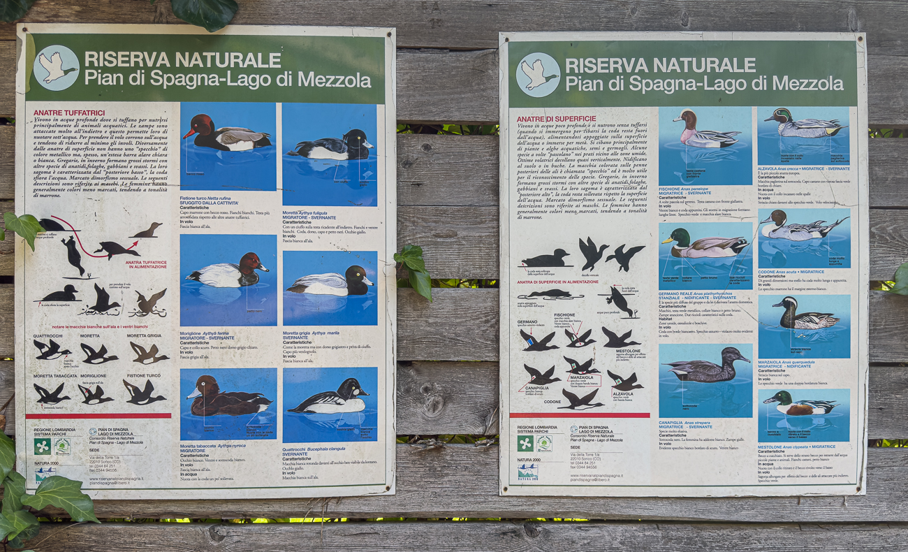 Wir kommen an einer Vogelbeobachtungsstation vorbei, die jedoch heruntergekommen und zugewachsen ist