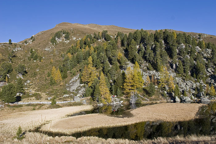 ... eine der schönsten Strecken in Österreich