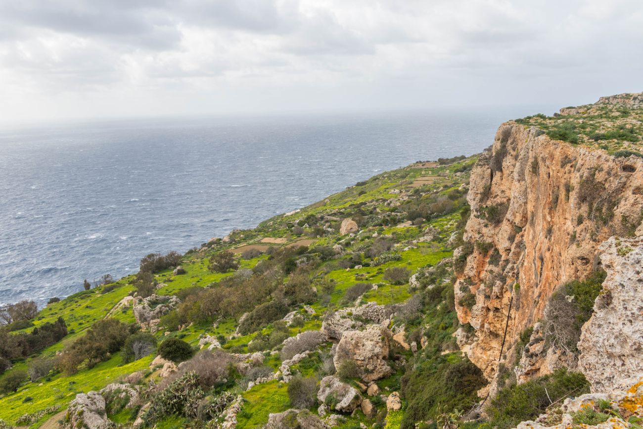 ... steigern die bunten Blüten auf Malta die Frühlingsfreude 