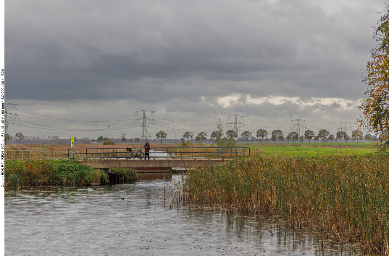 Flussarm durch den Biesbosch mit Angler