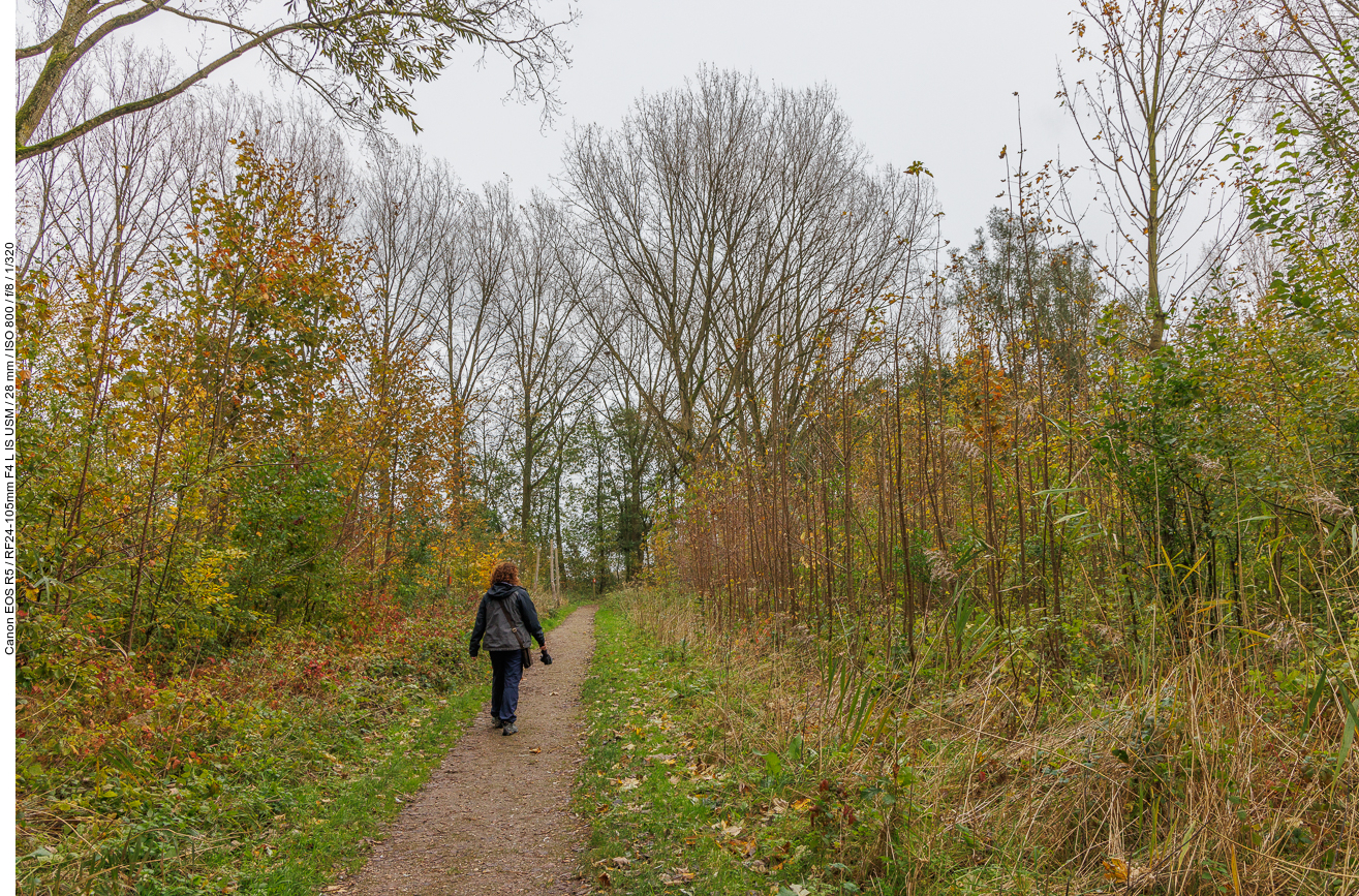 Wanderung durch den Wald