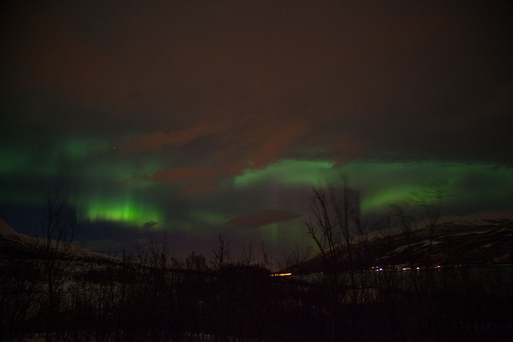Hinter dem Nordlicht sieht man die Sterne