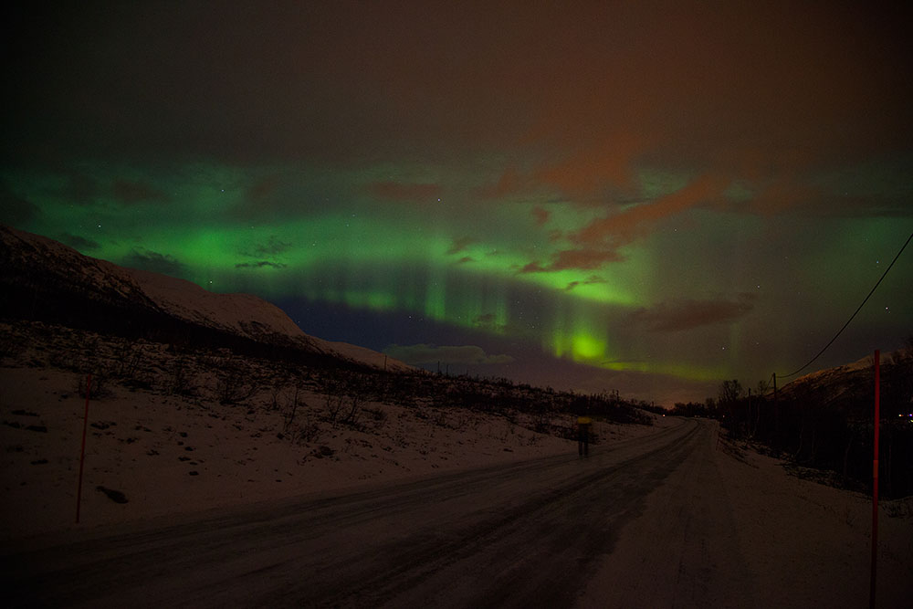 Nordlicht über einer Straße