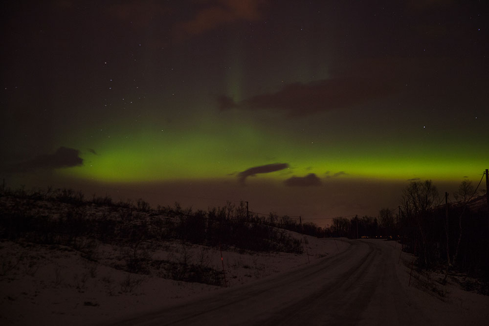Nordlicht über einer Straße