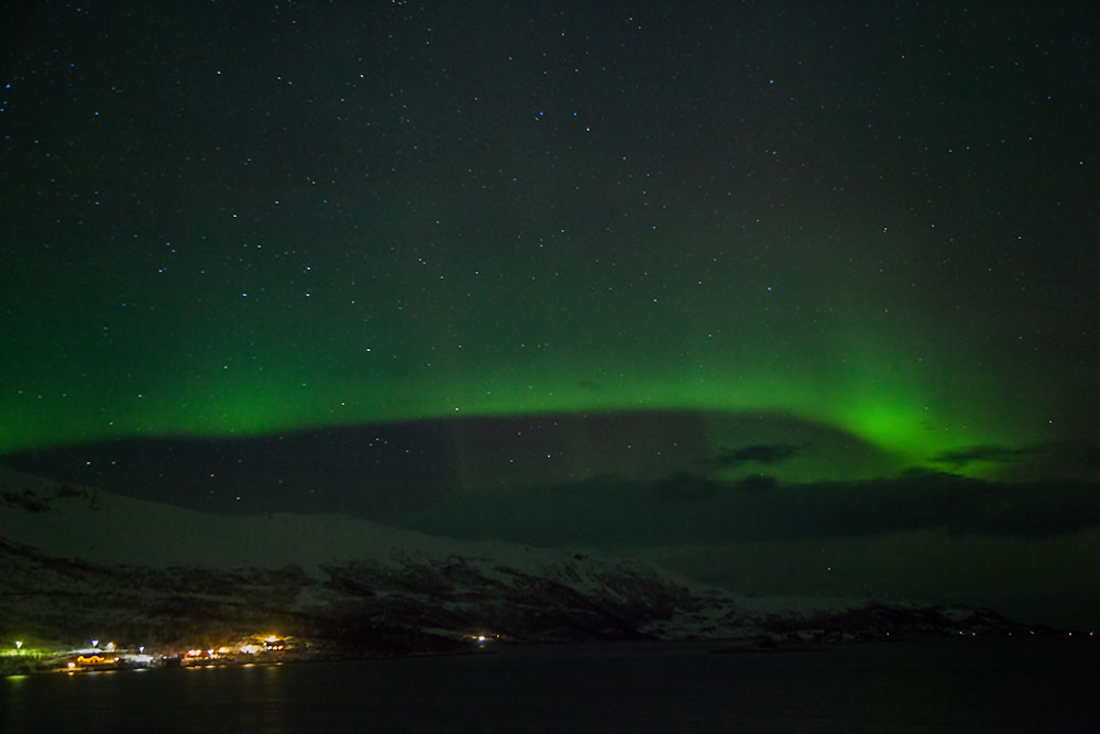 ... in verschiedene Grüntöne