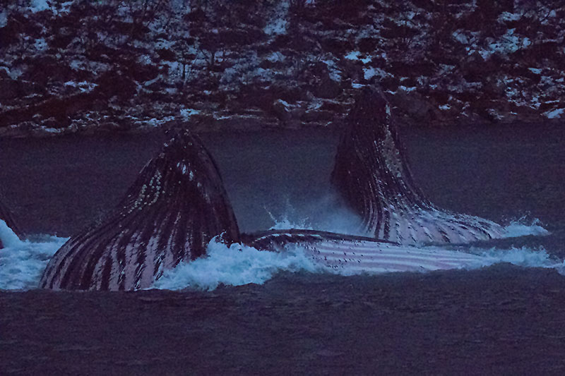 20 Tonnen schießen aus dem Wasser