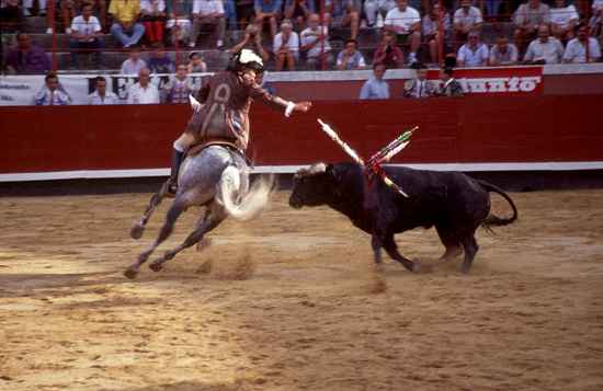 Reiter und Stier