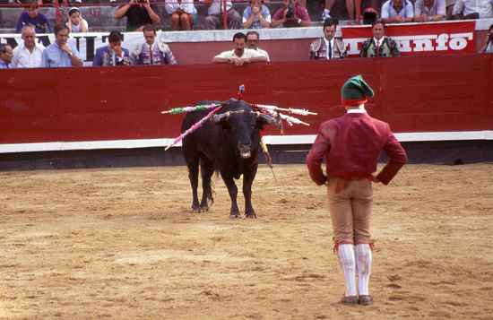 Toro und Cabo