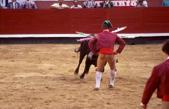 Toro und Cabo
