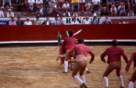 Forcados in aktion