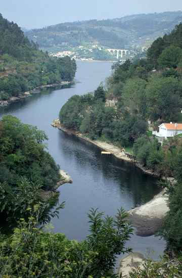 Nebenarm am Oberlauf des Duoro