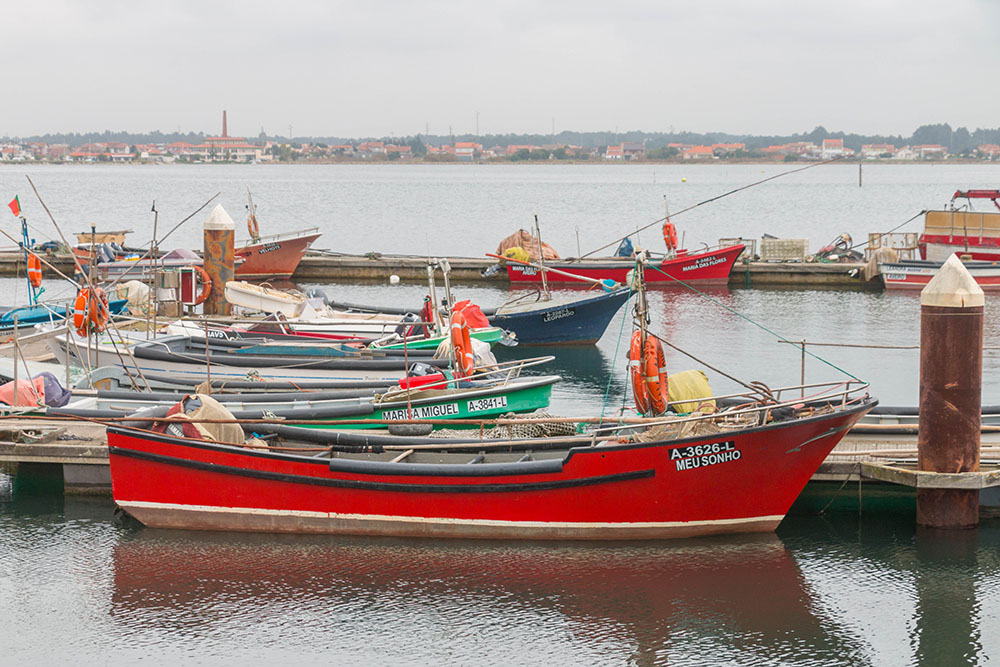 Am kleinen Hafen 