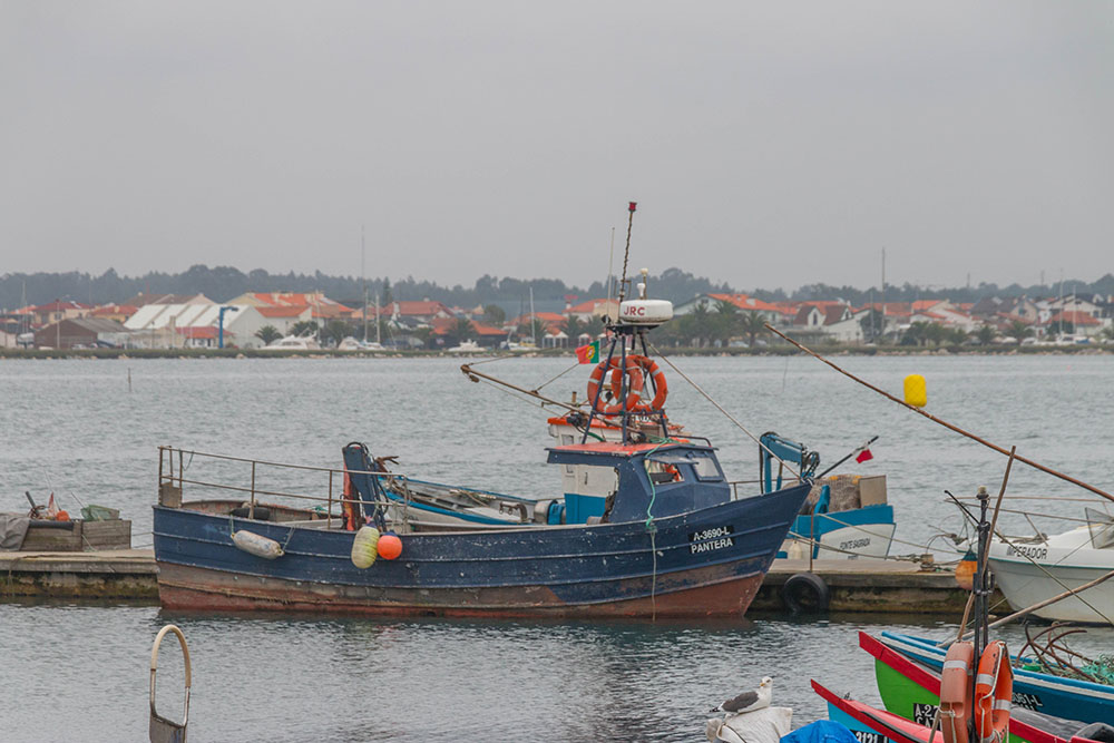 Am kleinen Hafen 